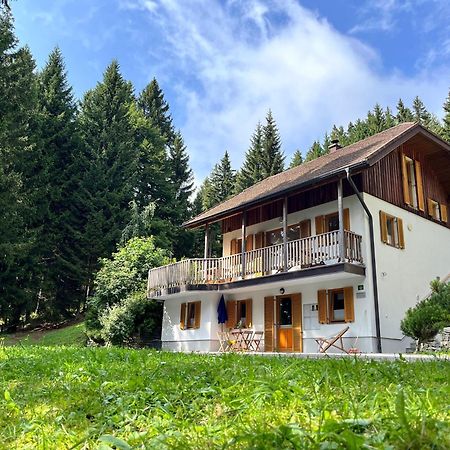 Chalet Harmony Rogla - Apartment Zreče Exteriér fotografie