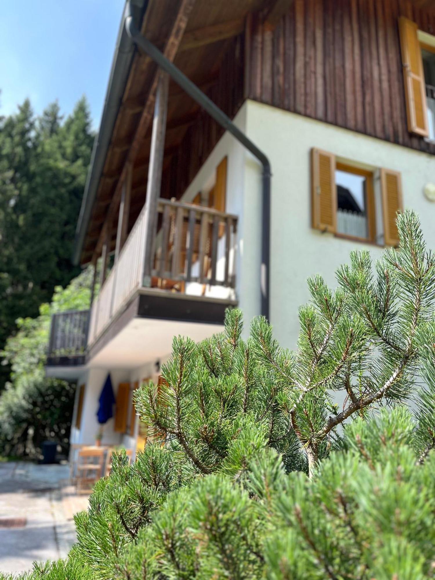 Chalet Harmony Rogla - Apartment Zreče Exteriér fotografie