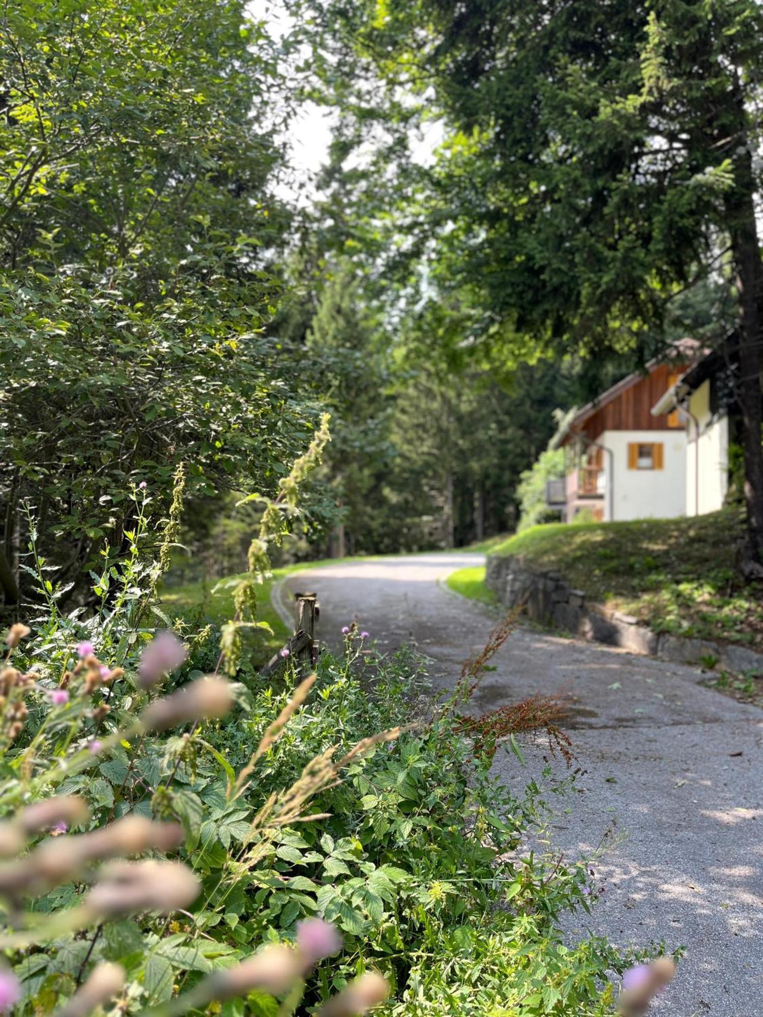 Chalet Harmony Rogla - Apartment Zreče Exteriér fotografie